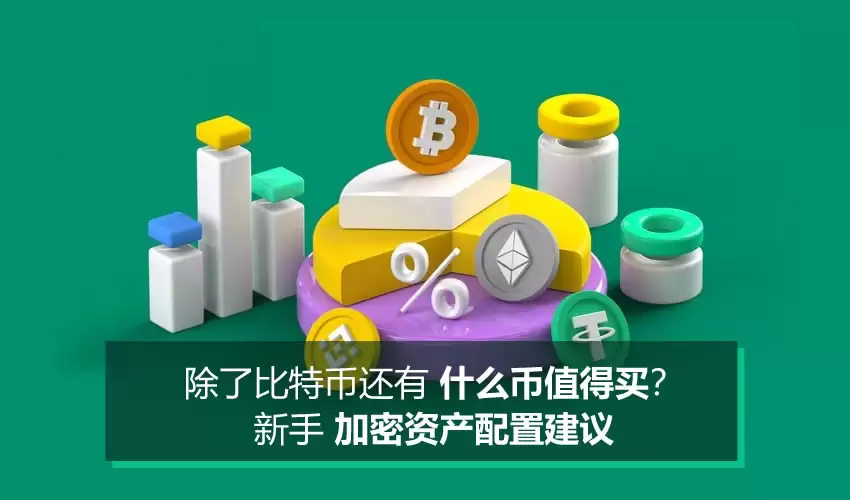 除了比特币还有什么币值得买?新手加密资产配置建议