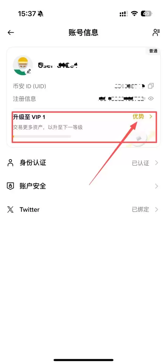 查看币安VIP等级步骤3
