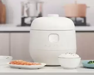 2026热门电饭煲排名,品牌技术解析与选购建议