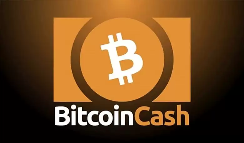 比特币现金(BCH)入门：与比特币区别及币安购买教程