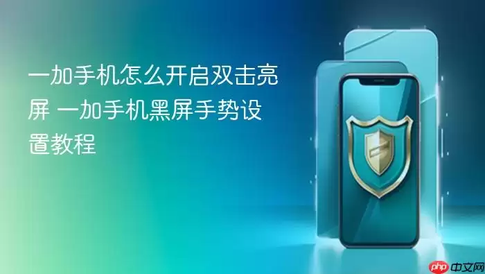 一加手机怎么开启双击亮屏 一加手机黑屏手势设置教程
