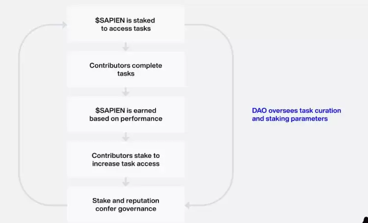 币安将上线的Sapien(SAPIEN币)是什么?值得投资吗?SAPIEN代币经济与未来前景分析