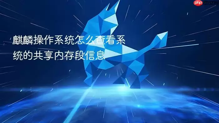 麒麟操作系统怎么查看系统的共享内存段信息