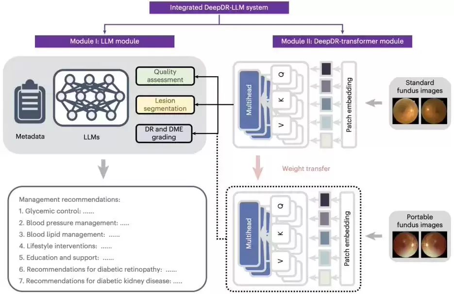 国际首个,我国团队开发糖尿病诊疗多模态大模型 DeepDR-LLM