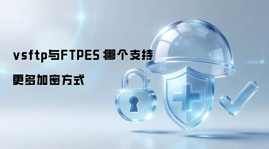 vsftp与FTPES：哪个支持更多加密方式