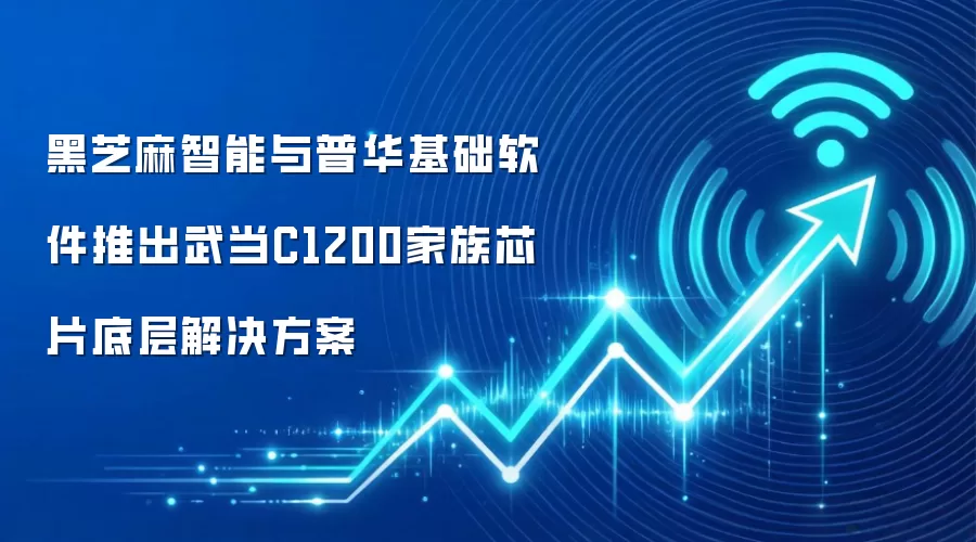 黑芝麻智能与普华基础软件推出武当C1200家族芯片底层解决方案