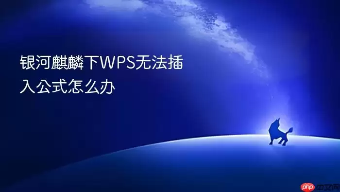 银河麒麟下WPS无法插入公式怎么办