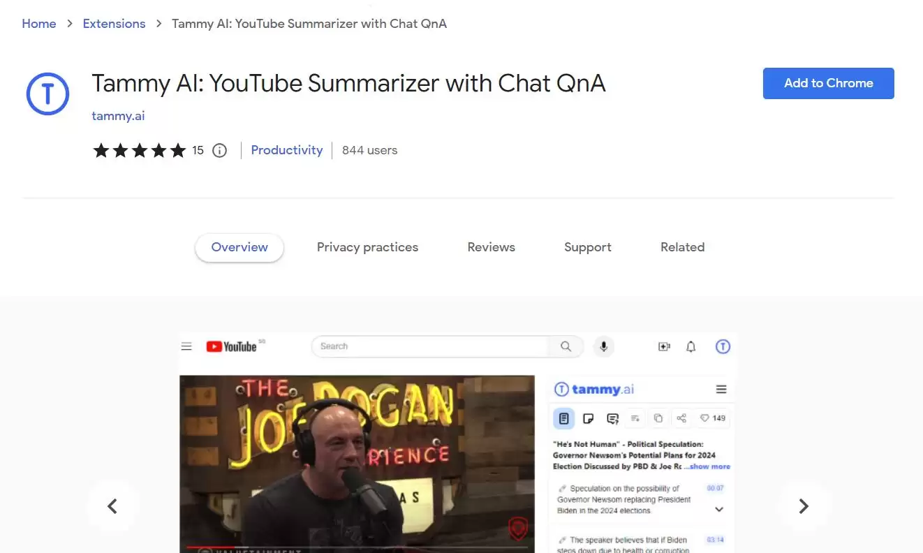 Tammy AI: YouTube Summarizer with Chat QnA : 时间戳和保存到你的库的所有关键点摘要！