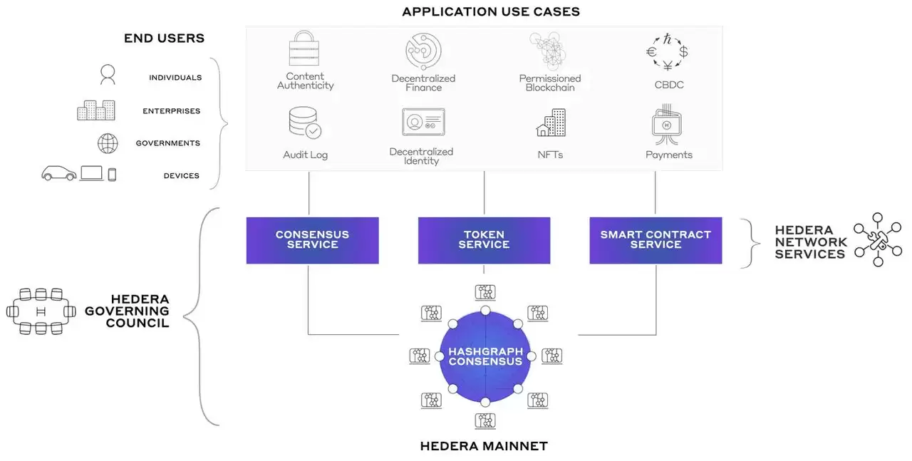 Hedera 官方数据图示