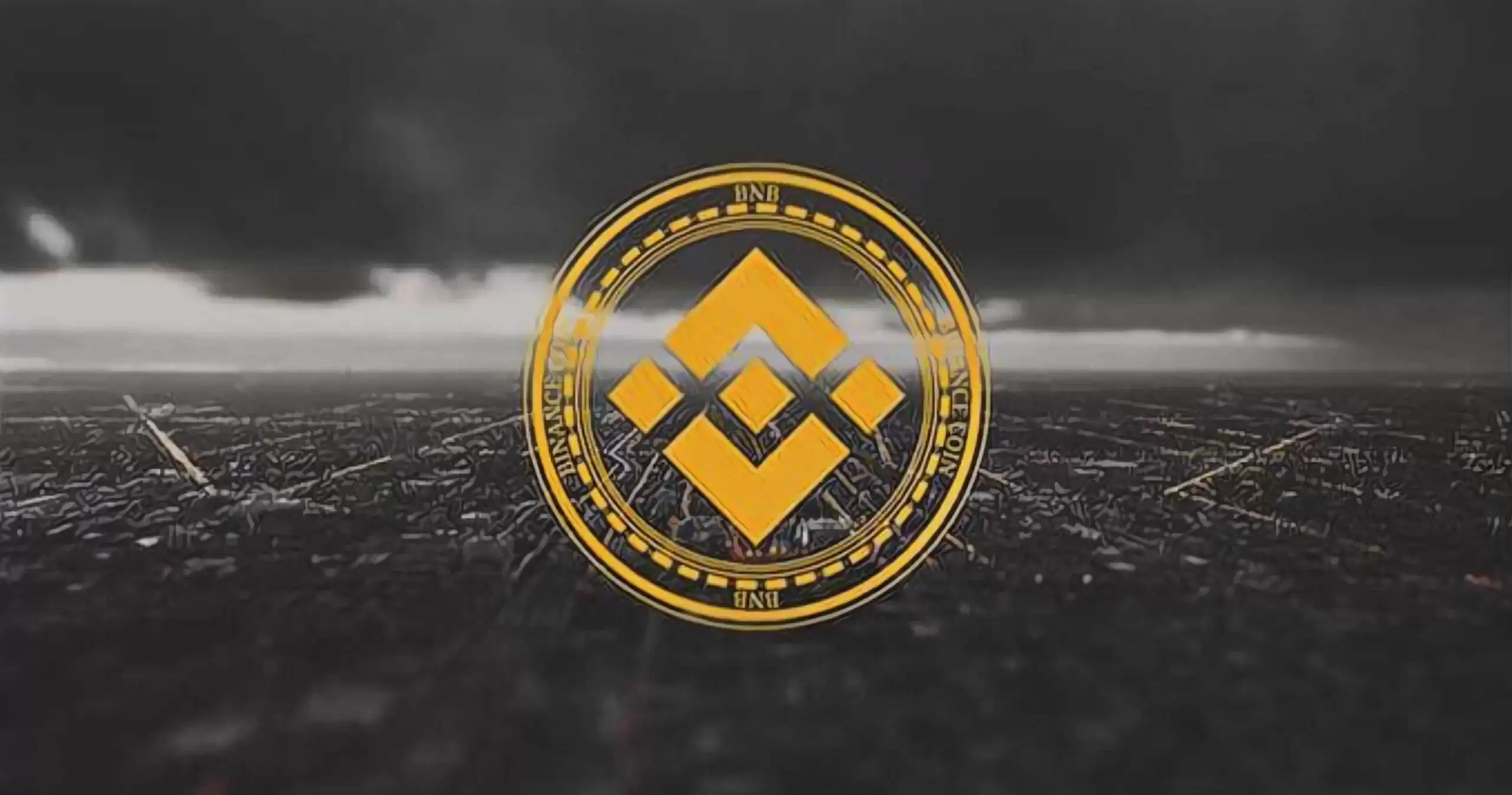 BNB价格预测与深度解析