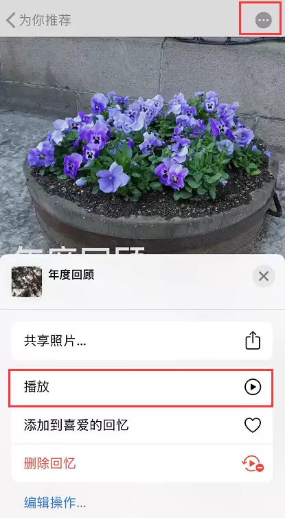 iOS 13 “照片”中的隐藏技能，你都学会了吗？