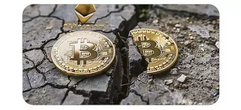 一文了解加密生态的泡沫之殇:如何理性应对?