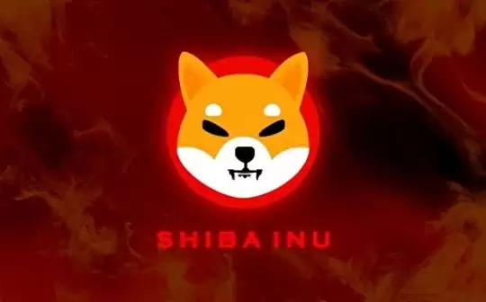 ptd币怎么样