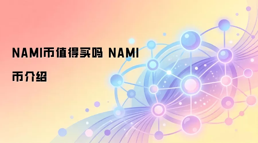 NAMI币值得买吗 NAMI币介绍