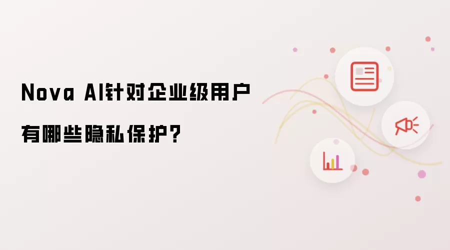 Nova AI针对企业级用户有哪些隐私保护?