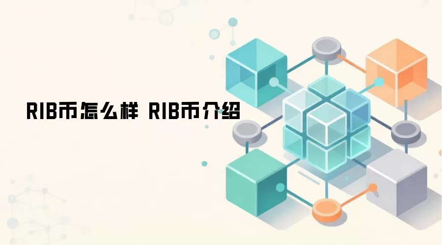 RIB币怎么样 RIB币介绍