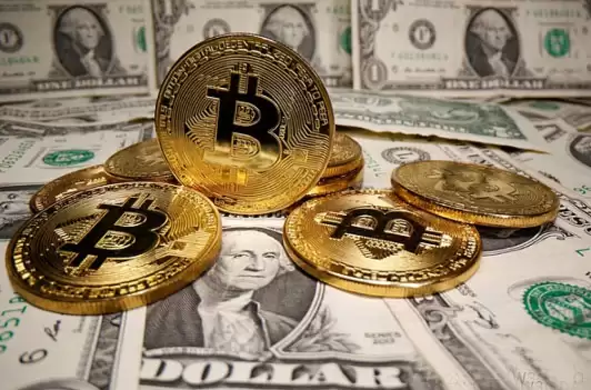 山寨季即将来临 大选后 12 个月仍是加密牛市黄金期