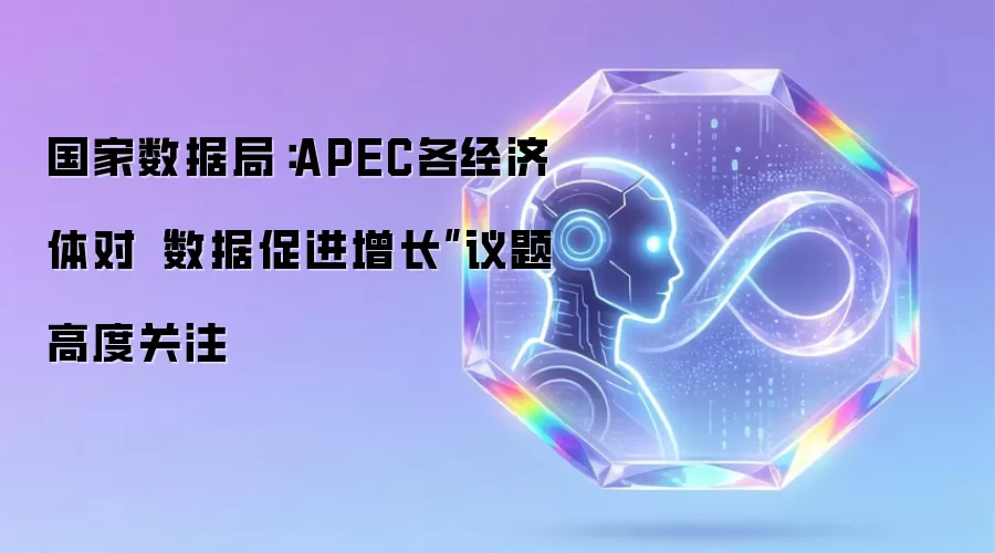 国家数据局：APEC各经济体对“数据促进增长”议题高度关注