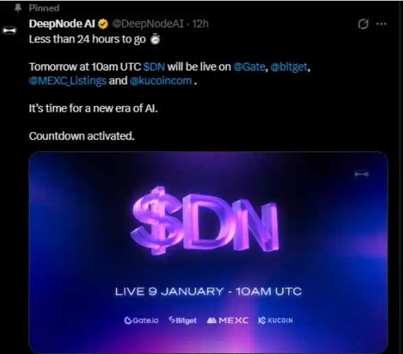 DeepNode代币经济模型图解：DN总供应量与分配比例分布