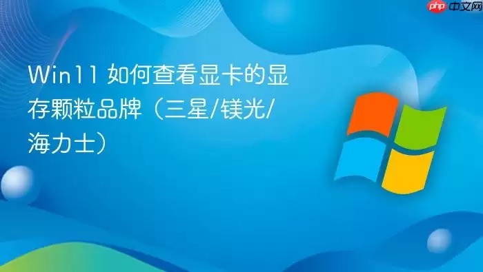 Win11 如何查看显卡的显存颗粒品牌(三星/镁光/海力士)