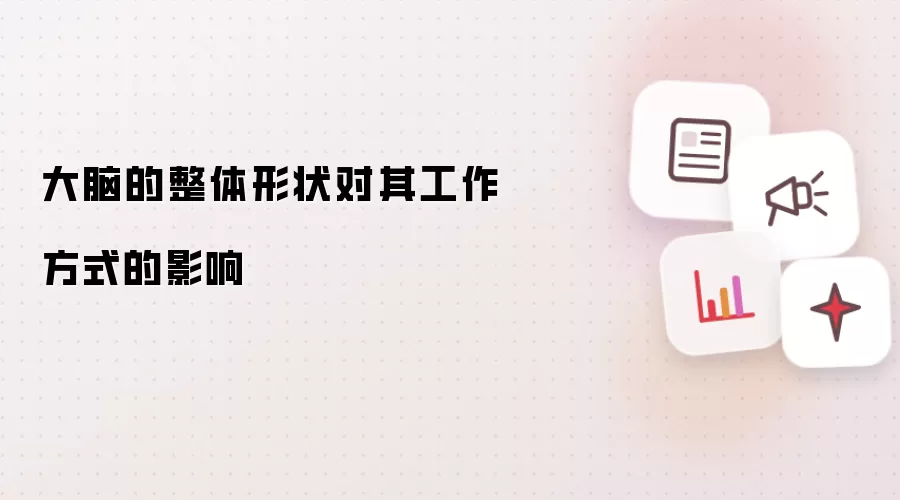 大脑的整体形状对其工作方式的影响