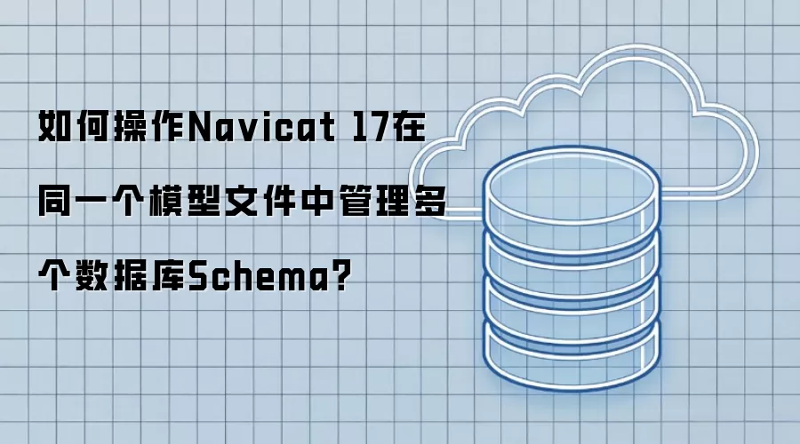 如何操作Na vicat 17在同一个模型文件中管理多个数据库Schema？