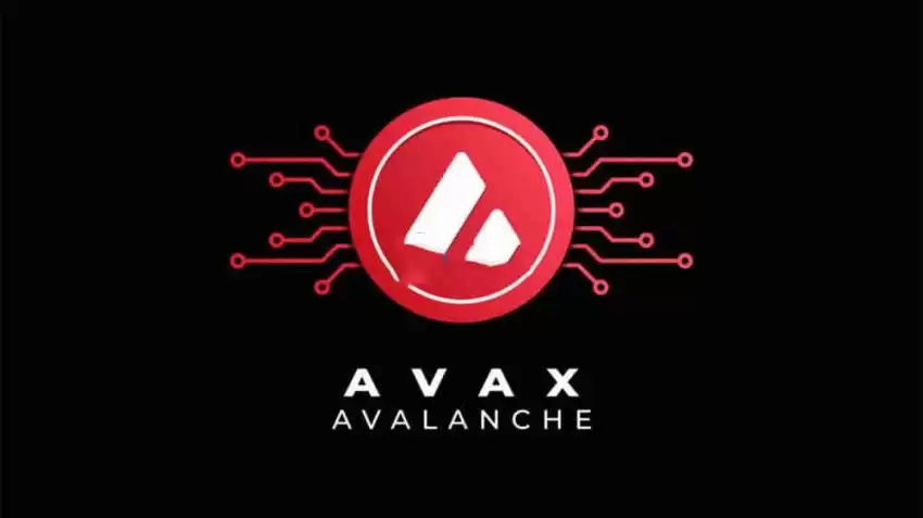 Avalanche子网技术与企业应用案例