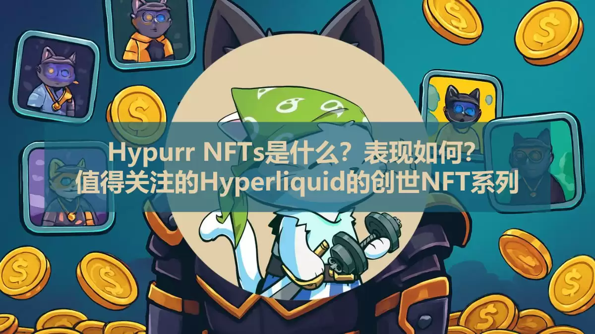 Hypurr NFTs是什么?表现如何?值得关注的Hyperliquid的创世NFT系列