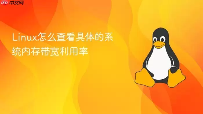 Linux怎么查看具体的系统内存带宽利用率