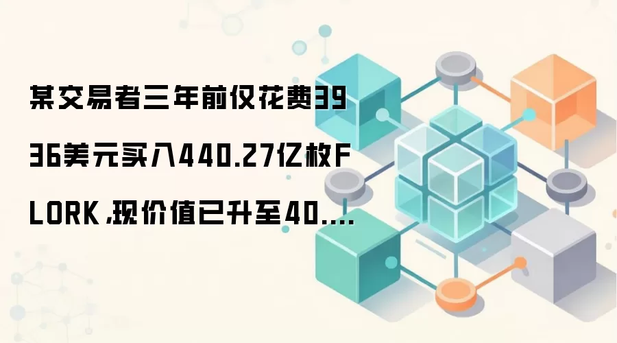 FLORK代币投资三年收益图:从3936美元到40.8万美元的链上资产增长轨迹