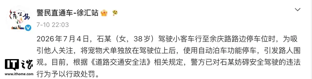 司机让宠物狗坐主驾自动泊车，警方通报罚200元记3分