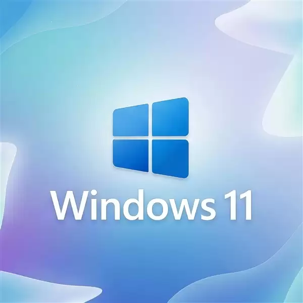 Windows 11自带功能疯狂吃掉30GB内存！微软多年都未修复