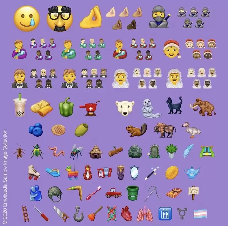 iOS 14 将支持哪些设备？与 iOS 13 一致