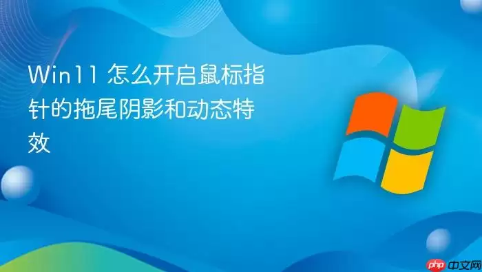 Win11 怎么开启鼠标指针的拖尾阴影和动态特效