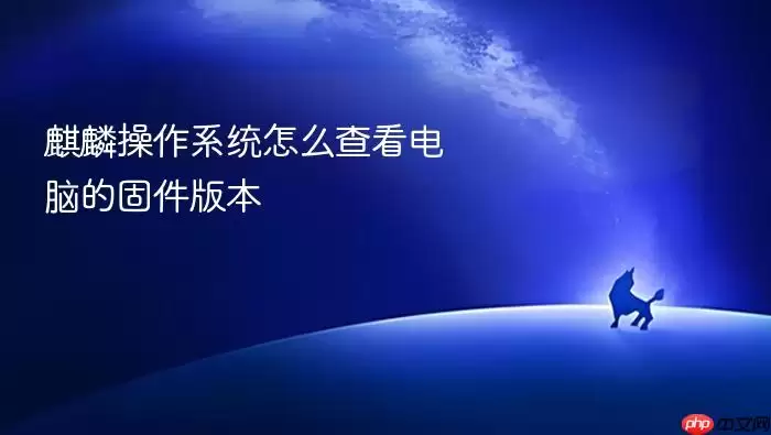 麒麟操作系统怎么查看电脑的固件版本