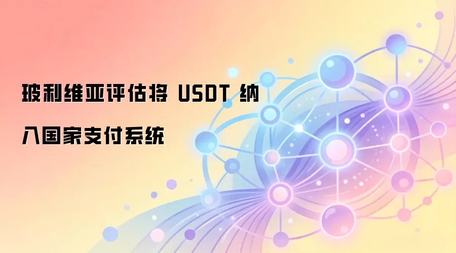 玻利维亚评估将 USDT 纳入国家支付系统