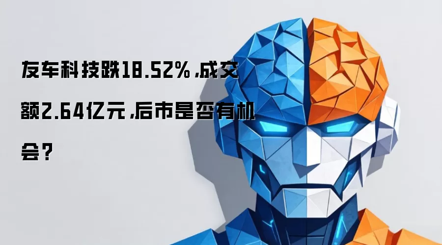 友车科技跌18.52%，成交额2.64亿元，后市是否有机会？