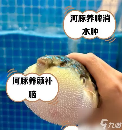 《我的世界中河豚的神奇作用》（探索河豚的魅力）