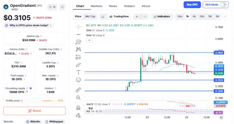 OPG 技术图表：回调后的关键支撑与阻力