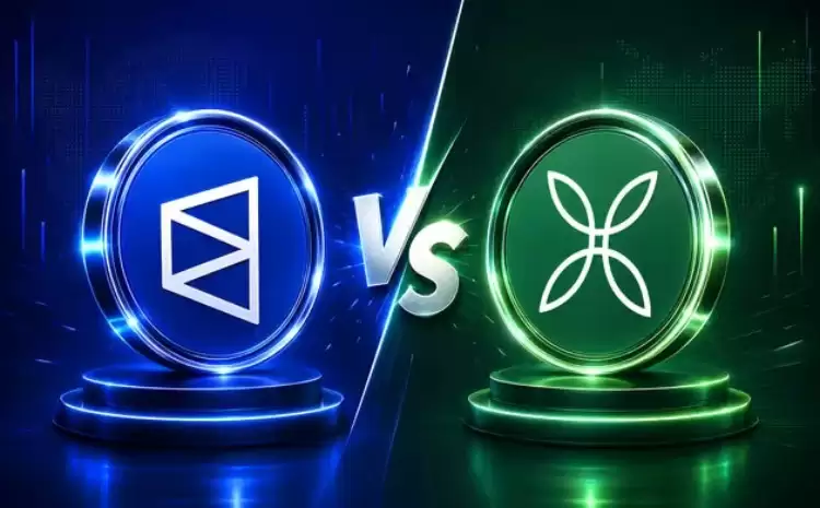 2026年Polymarket和Kalshi全面对比:哪个预测市场更好?