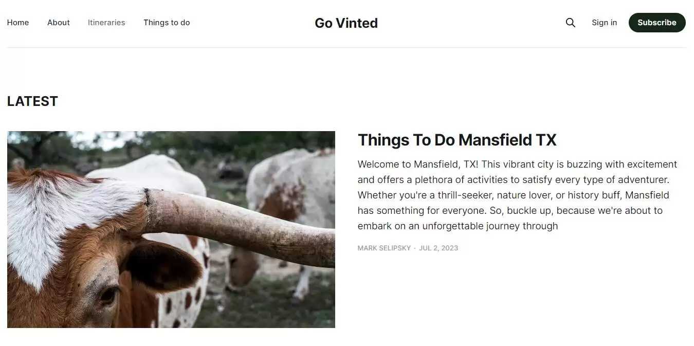 Go Vinted : 探索世界的隐秘宝藏，拥抱复古旅行的永恒魅力