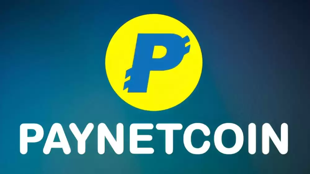 什么是PayNet Coin(PAYN币)？PAYN币主要功能概述及未来价格展望
