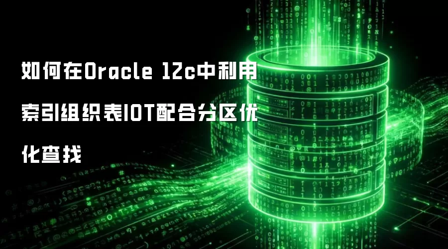 如何在Oracle 12c中利用索引组织表IOT配合分区优化查找