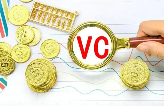 非传统 VC 项目突围路径