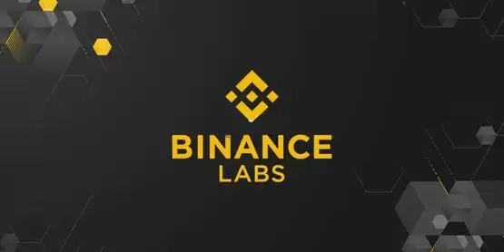 Binance Labs 品牌升级与 2024 年 46 个项目投资全景回顾