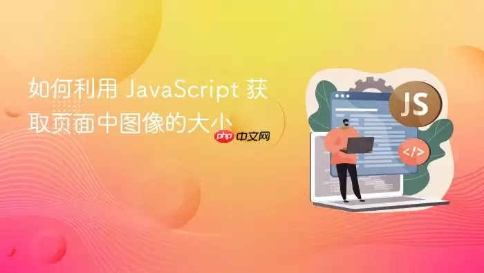如何利用 Ja vaScript 获取页面中图像的大小