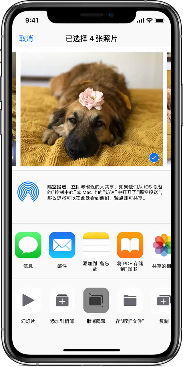 如何找回 iPhone 相册中丢失的照片? 如何找回 iPhone 相册中丢失的照片?