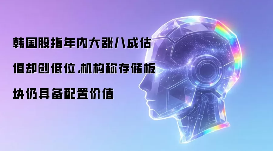韩国股指年内大涨八成估值却创低位，机构称存储板块仍具备配置价值