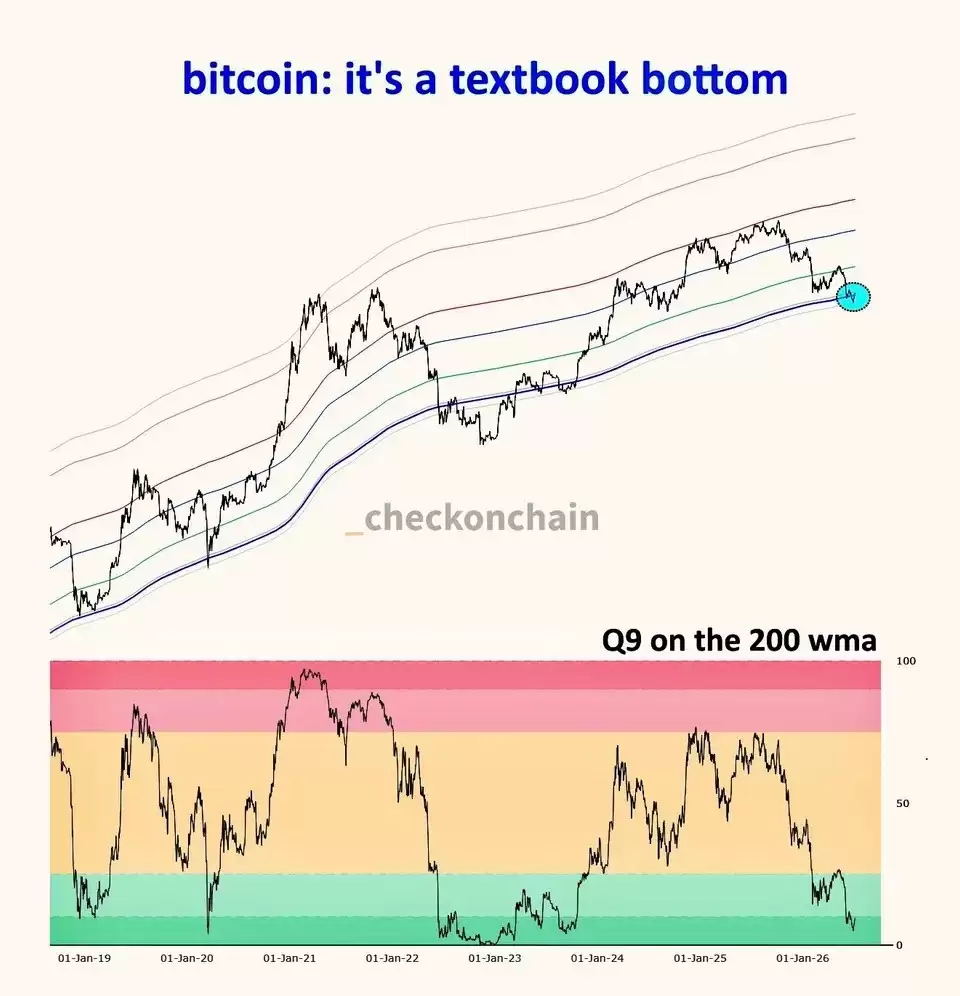 教科书级BTC筑底 投机者成焦点