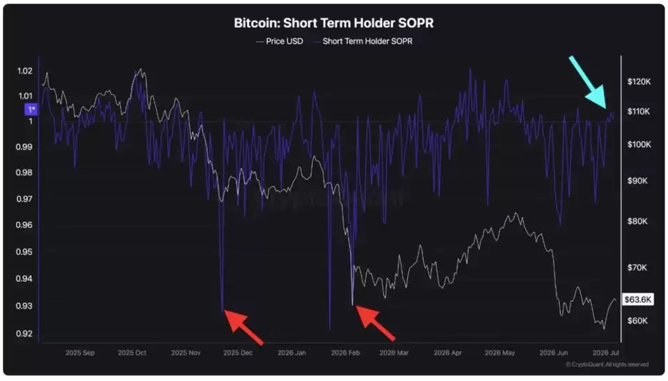 分析师称“教科书式比特币（BTC）底部”构建中 投机者动向成关键